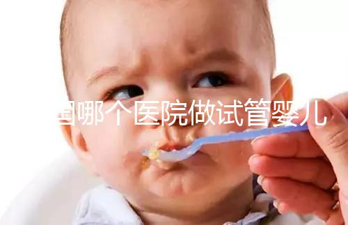 泰國哪個醫院做試管嬰兒比較厲害？全面解析與推薦