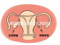 泰國(guó)哪家試管嬰兒醫(yī)院技術(shù)好？這些醫(yī)院排名前三