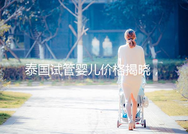 泰國(guó)試管嬰兒價(jià)格揭曉,來(lái)看看需要準(zhǔn)備多少錢