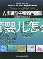 泰國試管嬰兒怎么樣(泰國試管嬰兒好嗎)