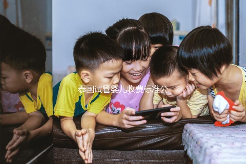 泰國(guó)試管嬰兒收費(fèi)標(biāo)準(zhǔn)公布,藥品費(fèi)用占大多數(shù)