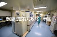 泰國試管嬰兒攻略（泰國試管嬰兒攻略全套）