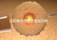 沈陽菁華醫院試管成功率高嗎？教你4招提升胚胎著床機會