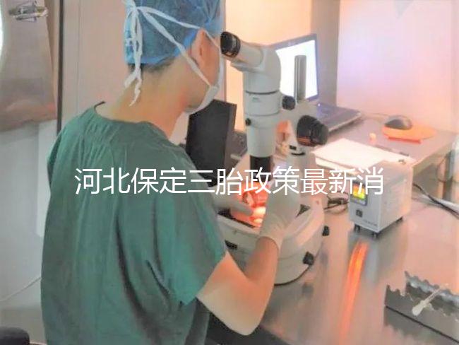 河北保定三胎政策最新消息2024，不造補貼怎么申請看過來