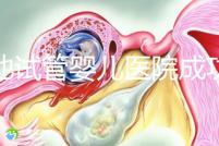 河池試管嬰兒醫(yī)院成功率排名出爐，這幾家助孕技術真不差