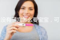 沒有子宮怎么要寶寶，可以做試管嬰兒嗎？