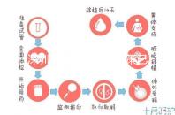 深圳最新獨生子女政策已出爐，羅湖、南山區補貼金均有提高