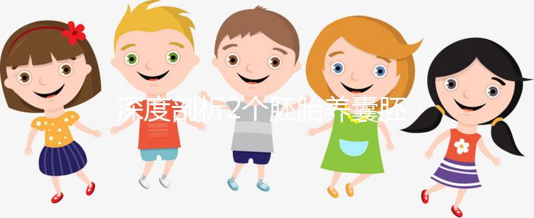 深度剖析2個胚胎養(yǎng)囊胚的成功率，可以養(yǎng)成幾個一目了然