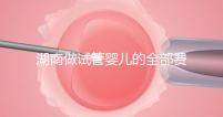 湖南做試管嬰兒的全部費用大概是多少錢？附湖南試管嬰兒醫院排名一覽！