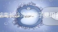 湖南長沙冷凍卵子費(fèi)用多少？中信湘雅盧光琇教授這樣說...