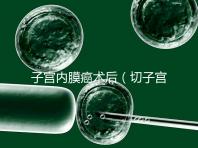 子宮內膜癌術后（切子宮手術需要多少錢）