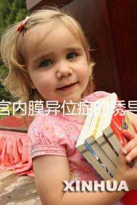 子宮內膜異位癥的誘導排卵方案，其實沒有標準答案