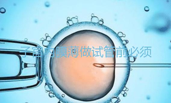 子宮內(nèi)膜薄做試管前必須先調(diào)理好,調(diào)理方法在這里自取!