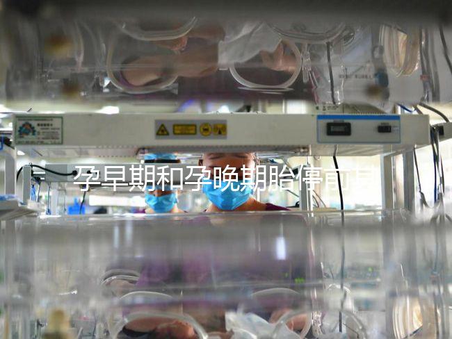 孕早期和孕晚期胎停前其實都有暗示信號，身體不會騙人