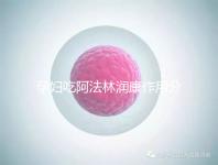 孕婦吃阿法林潤康作用分析：最大受益者是胎兒