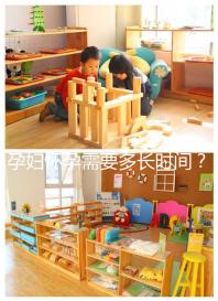 孕婦懷孕需要多長時間？