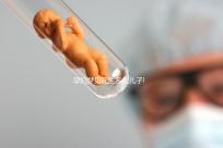 孕婦夢(mèng)見(jiàn)花生多生兒子!做此胎夢(mèng)的姐妹們就偷著樂(lè)吧