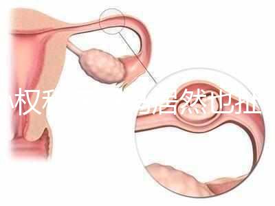 孫權(quán)和奧巴馬居然也扯得上關(guān)系:他們都是混血兒