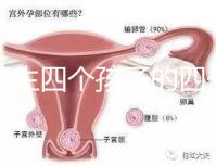寧夏生四個孩子的四個女孩補貼多少2024年，給2萬元或非謠言