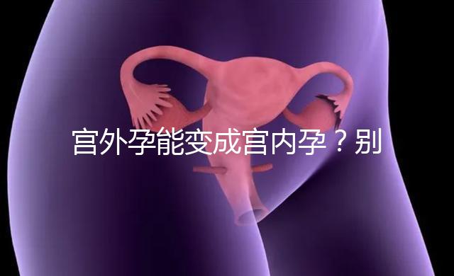宮外孕能變成宮內孕?別瞎說!會出事兒的!