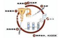 寶寶到媽媽身上就要吃解決方法來了，奶瓶作用大別忽略