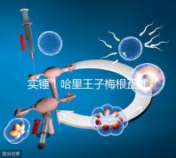 實錘！哈里王子梅根正式公布寶寶名字：阿爾奇·哈里森