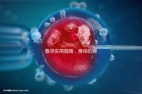 備孕實用指南，身體的哪些感覺提示正在排卵？