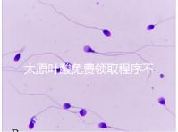 太原葉酸免費(fèi)領(lǐng)取程序不難，@準(zhǔn)媽媽們：小店區(qū)這里可領(lǐng)