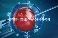 失獨后借卵生子好不好別還不造，供卵or領養過來人感受更深