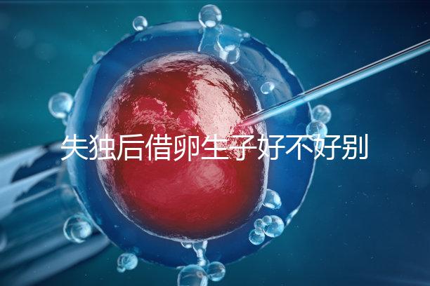 失獨后借卵生子好不好別還不造,供卵or領(lǐng)養(yǎng)過來人感受更深