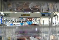 女人打胎后的風(fēng)水忌諱速來(lái)觀看，破解方法或能起關(guān)鍵作用