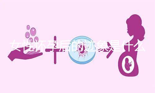 女性懷孕后的跡象是什么？