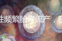 女性頻繁胎停流產(chǎn)，在拖“后腿”可能是精子碎片率