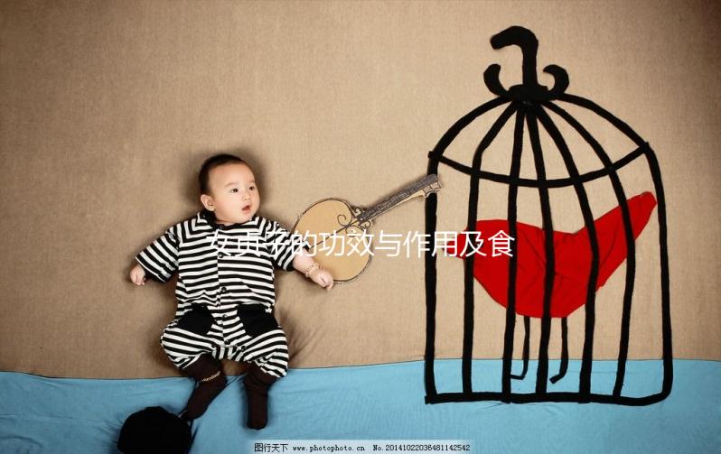 女貞子的功效與作用及食用方法(女貞子會(huì)讓雌激素增高嗎)