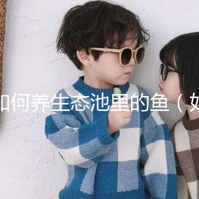 如何養(yǎng)生態(tài)池里的魚(如何養(yǎng)生態(tài)池里的魚視頻)