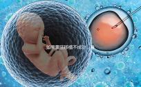 如果囊胚移植不成功，身體會有什么反應？除腹痛外，這三個方面也需要注意