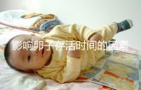 影響卵子存活時(shí)間的因素剖析：年齡起主導(dǎo)作用