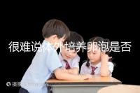 很難說體外培養卵泡是否懷孕竇卵泡質量高或100%實現夢想