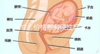 尺寸、價格都有硬性標準，選擇雙胞胎嬰兒床決不可大意！