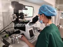 山楂的作用與功效（三種人不宜喝山楂水）