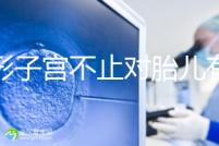 弓形子宮不止對(duì)胎兒有危害！這4種影響都不能忽視