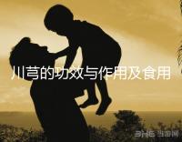 川芎的功效與作用及食用方法（川芎對男性性功能影響）