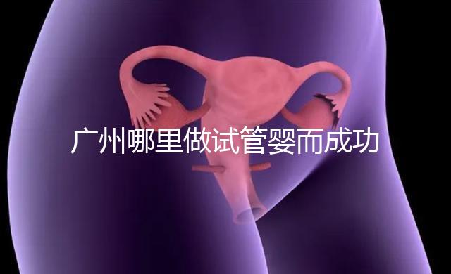 廣州哪里做試管嬰而成功率高？如何提高成功率？