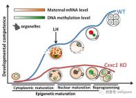 廣州hpv疫苗預約流程攻略，詳細地址加電話收好不謝