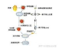 選對(duì)成功一半！來(lái)看看海南哪家醫(yī)院能做三代試管嬰兒