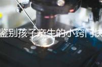 鑒別孩子親生的小竅門(mén)快收藏，取牙刷樣本準(zhǔn)不準(zhǔn)分情況