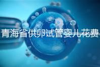 青海省供卵試管嬰兒花費明細表一覽，一次成功助孕費用最低