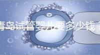 青島試管嬰兒要多少錢？年度總費用清單，你覺得貴嗎？