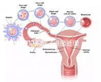 問題奶粉除了退換處理，還可要求十倍標準的賠償金
