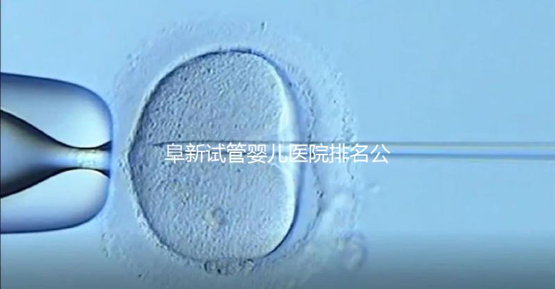 阜新試管嬰兒醫院排名公開，附2024年助孕費明細